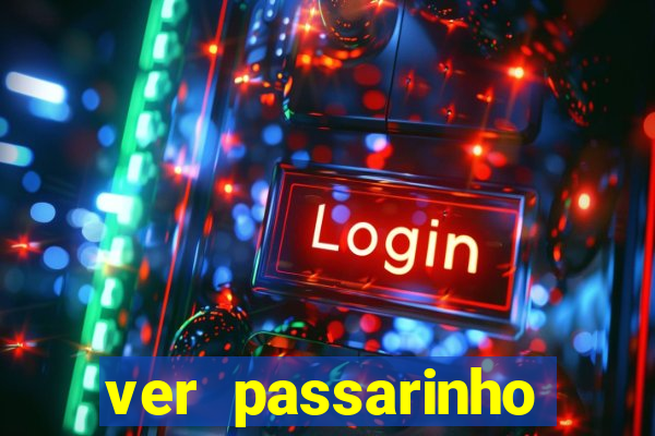 ver passarinho morto significado